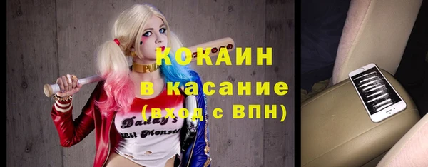 тгк Гусев