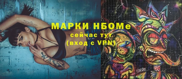 индика Гусиноозёрск