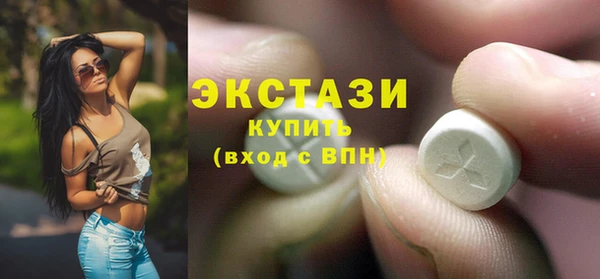 индика Гусиноозёрск