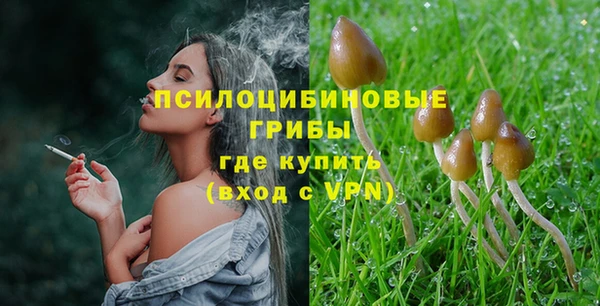 тгк Гусев