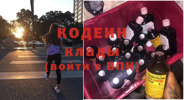 тгк Гусев