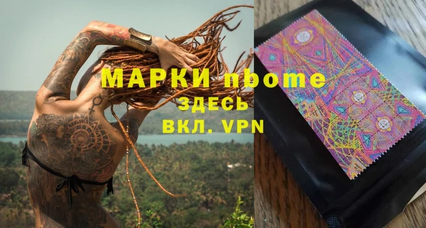 индика Гусиноозёрск