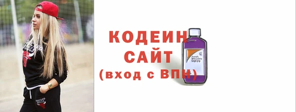 тгк Гусев