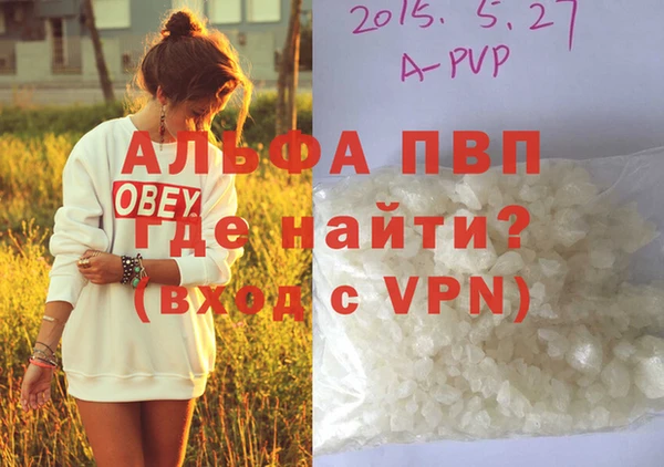 индика Гусиноозёрск