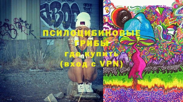 тгк Гусев