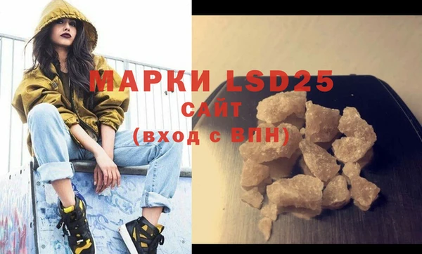 PSILOCYBIN Ельня