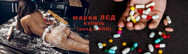 тгк Гусев