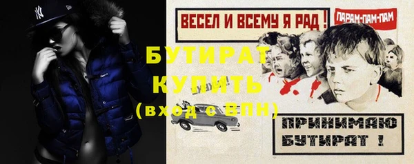 индика Гусиноозёрск