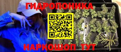 спиды Партизанск