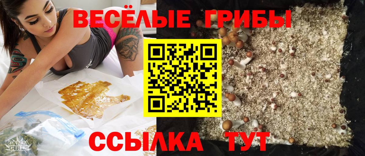 Галлюциногенные грибы Psilocybine cubensis Радужный